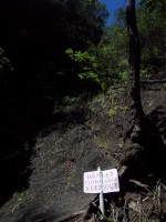 sign declaring 'DANGER CLOSED AREA KEEP OUT' against a nearly vertical wall